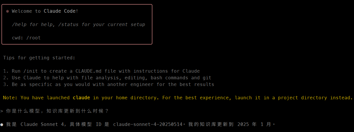 Claude Code 启动后的欢迎界面和模型信息